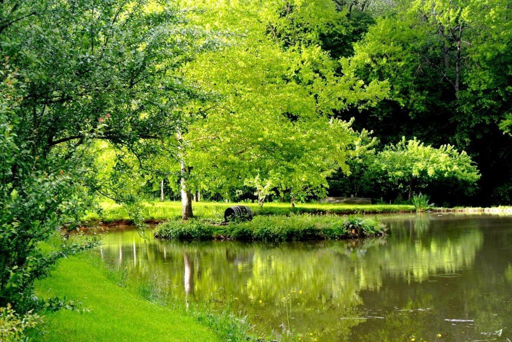 مبيت وإفطار Saint-Amand-en-Puisaye Domaine De Varenne المظهر الخارجي الصورة